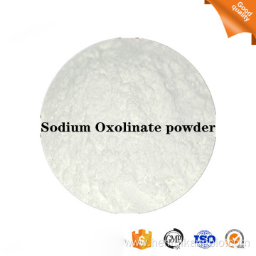 Buy online CAS14698-29-4 Sodium Oxolinate toxicity powder